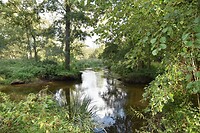 Langs de Swalm