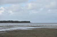 Strand bij de camping