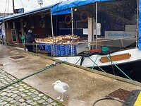 Als je in Wismar bent eet je een Fischbrötchen