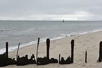 Strand van ellenbogen