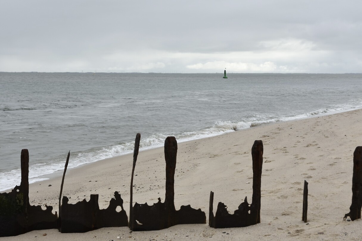 Strand van ellenbogen