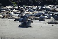 2016 op Helgoland