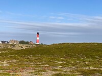 Hörnum