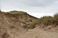 Op de rode klip