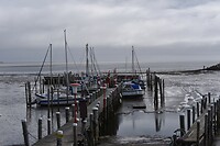 DSC_7590