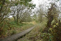 Vogelkoje