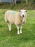 Ook zij poseert graag voor de camera