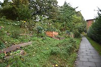 Midden in Hamburg