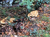 IMG_5769