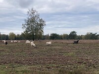 IMG_5773