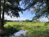 IMG_5764