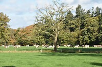 Bij Singraven