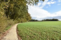 Op weg naar het centrum van Ootmarsum