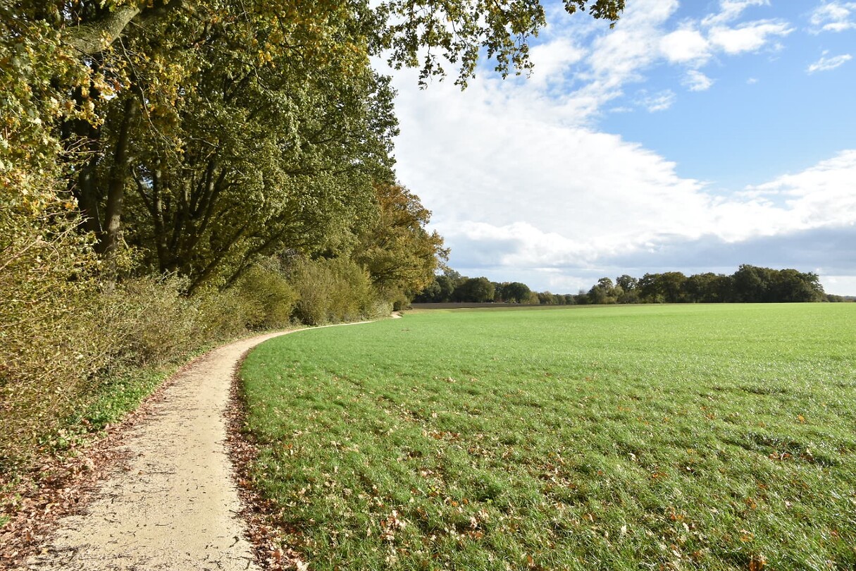 Op weg naar het centrum van Ootmarsum