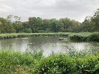 Axelse bos