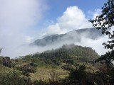 IMG_9602