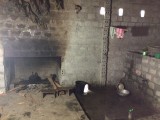 IMG_9637