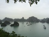 IMG_9945