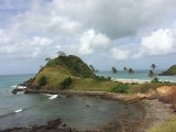 IMG_0520