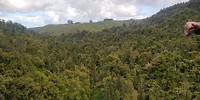 IMG_20180930_113704