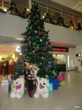 mooie kerstboom en mooie meisjes
