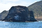 Creole Rock