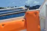 oranje boven!!