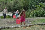 net rijstplantages hierzo