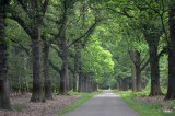 hoe gelukkig elke zondag daar te mogen fietsen als kind
