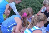 en daarna picknicken