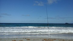 mooi zonder wier