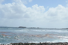 uitzicht andere kant baby beach