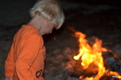 oranje overal