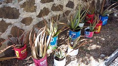 IMG-20160124-WA0015
