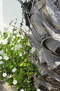 palm en bloempjes