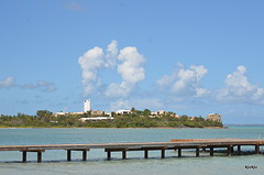 op la belle creole