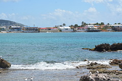 DSC_7006