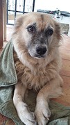 nyx rent als een gek als t onweert