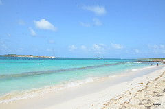 hoezo aqua