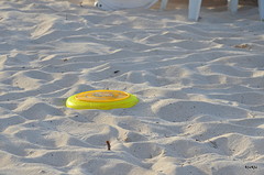 nog effe frisbee gooien