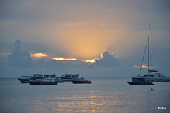 dag zon