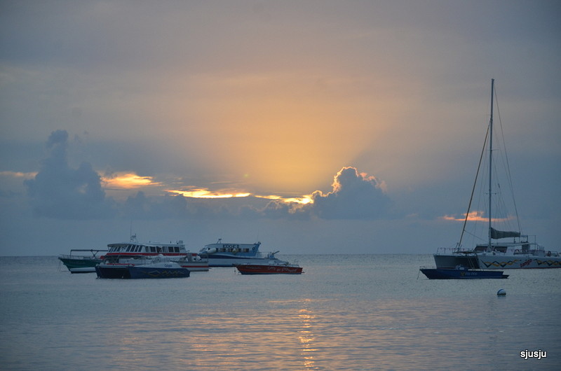 dag zon