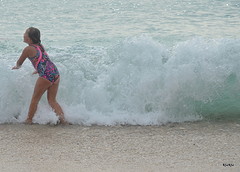 DSC_7622