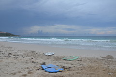 guana bay