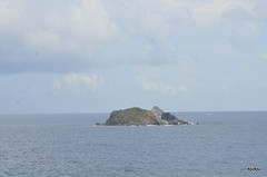pelican rock