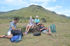 picknick
