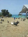 mannen in seaside nature park
