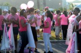 gewoon, pink pink