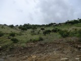 CIMG0173