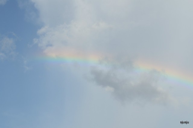 opa regenboog